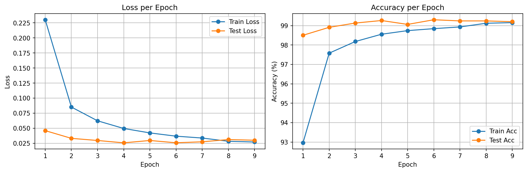 Loss and Accuracy Curves
