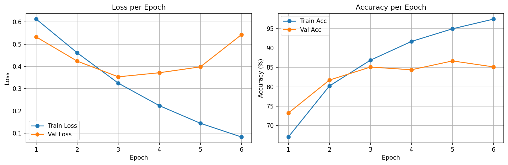 Loss and Accuracy Curves